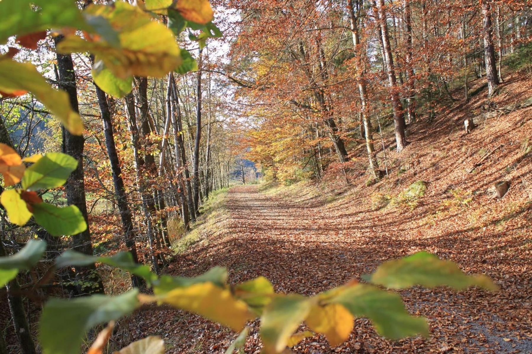 Ferienhof Aiginger Grafenau  Zewnętrze zdjęcie